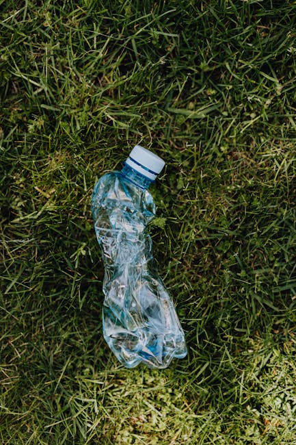 A clear plastic water bottle with a white cap lies discarded on a patch of green grass. The bottle is crumpled and partially flattened, with visible creases and folds in the transparent material. The grass around it is a mixture of light and dark green blades, some slightly flattened or bent. The outdoor setting is illuminated by natural sunlight, casting subtle shadows around the bottle and enhancing the textures of the grass. The scene suggests an act of littering in an open, grassy area, which could be part of a park or garden. Waste Collection Catford provides rubbish removal services that prevent such litter from accumulating in outdoor environments, supporting proper disposal and environmental cleanliness.