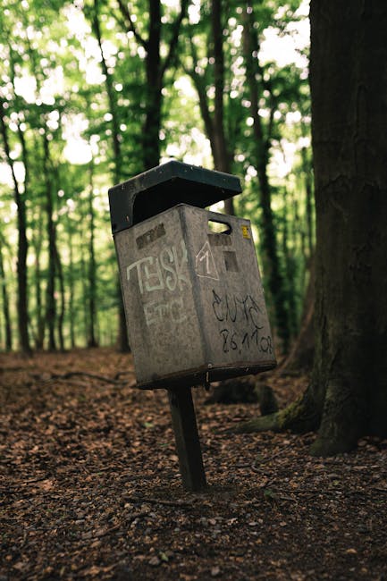 A weathered grey metal rubbish collection box with graffiti tags and faded stickers, mounted on a black pole leaning at an angle, situated on a dirt forest floor surrounded by tall trees with green leaves filtering sunlight. The box has a black open lid with some light scratches and dents, indicating outdoor exposure, and is positioned in a natural woodland environment with a background of densely packed tree trunks and foliage, typical of a park or wooded area used for walking or leisure. The scene captures the contrast between the man-made waste receptacle and the natural surroundings, reflecting an outdoor location where independent waste collection or on-site rubbish disposal might be performed by waste management services such as Waste Collection Catford, especially relevant on occasions of community park or woodland area clearance.